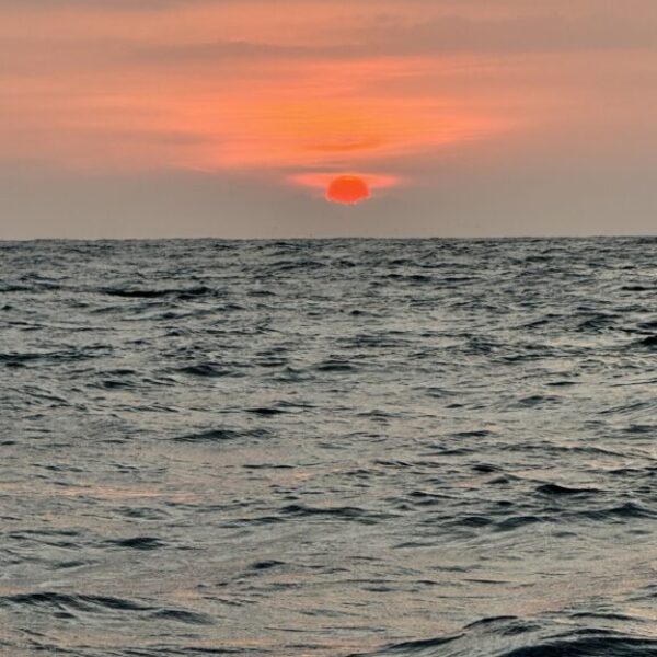 guesthouse-hikkaduwa-beach_guesthouse-hikkaduwa-beach_the-calm-palm_catch-and-cook_a-unique-fisching-experience_.10