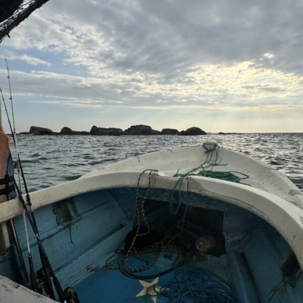 guesthouse-hikkaduwa-beach_guesthouse-hikkaduwa-beach_the-calm-palm_catch-and-cook_a-unique-fisching-experience_.2