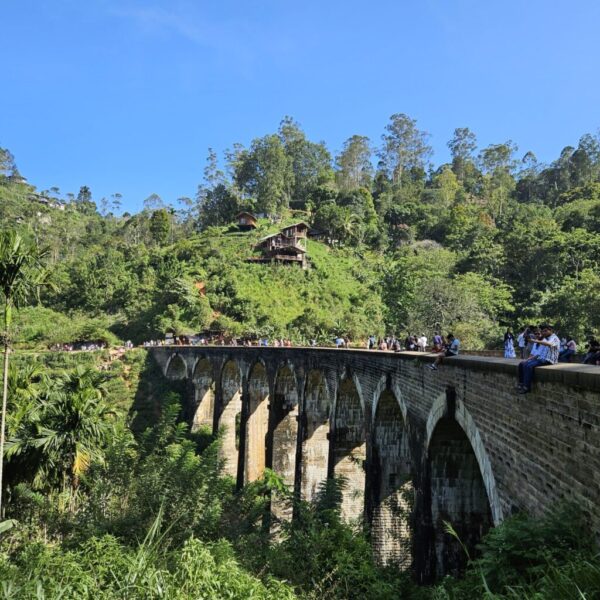guesthouse-hikkaduwa-beach_guesthouse-hikkaduwa-beach_the-calm-palm_safari_3