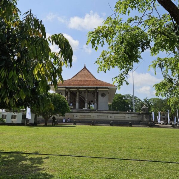 guesthouse-hikkaduwa-beach_guesthouse-hikkaduwa-beach_the-calm-palm_safari_4