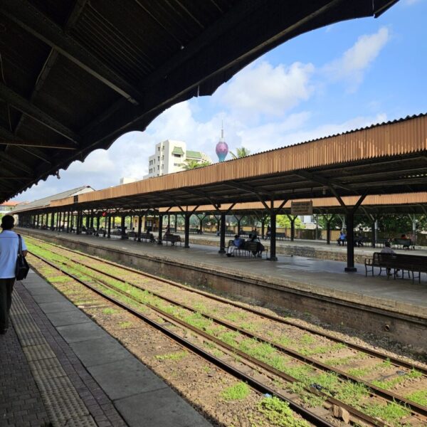 guesthouse-hikkaduwa-beach_guesthouse-hikkaduwa-beach_the-calm-palm_safari_6