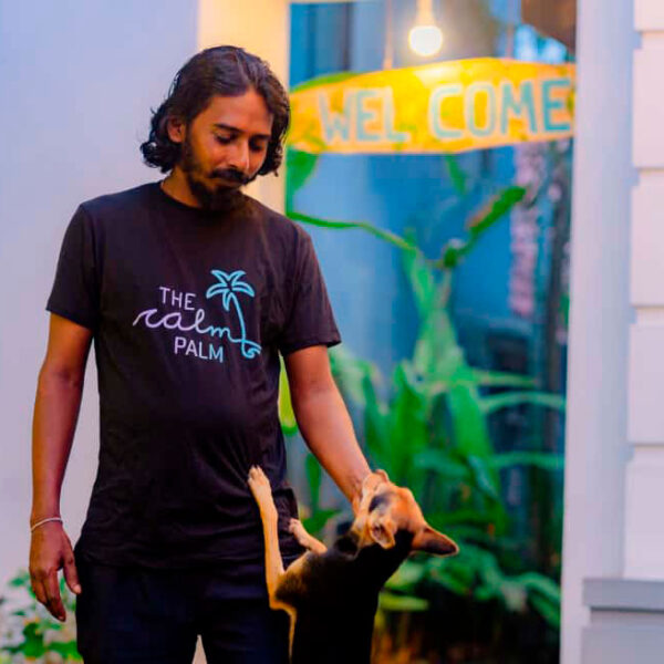 guesthouse-hikkaduwa-beach_the-calm-palm_1_