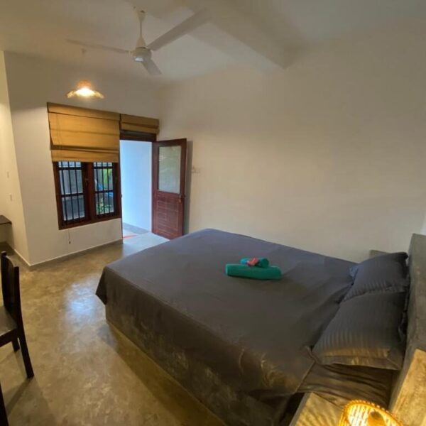 guesthouse-hikkaduwa-beach_the-calm-palm_best-guest-romms-hikkaduwa_1