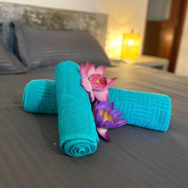 guesthouse-hikkaduwa-beach_the-calm-palm_best-guest-romms-hikkaduwa_3