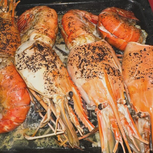 guesthouse-hikkaduwa-beach_the-calm-palm_your-dream-dinner_fresh-seafood-5