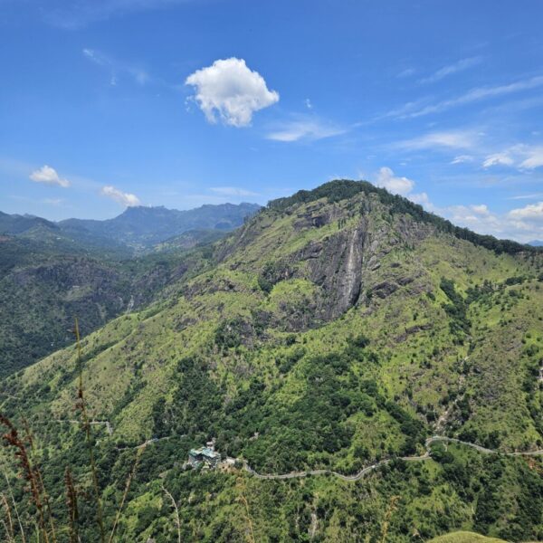 gaestehaus-hikkaduwa-beach_the-calm-palm_best-guest-romms-hikkaduwa_gesundheit_trip_