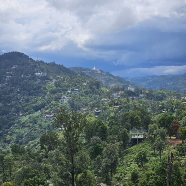 gaestehaus-hikkaduwa-beach_the-calm-palm_best-guest-romms-hikkaduwa_gesundheit_trip_08989